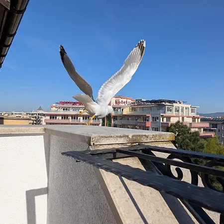 아파트 Modern Apartment, Pool Mountain Views Terace Sea *